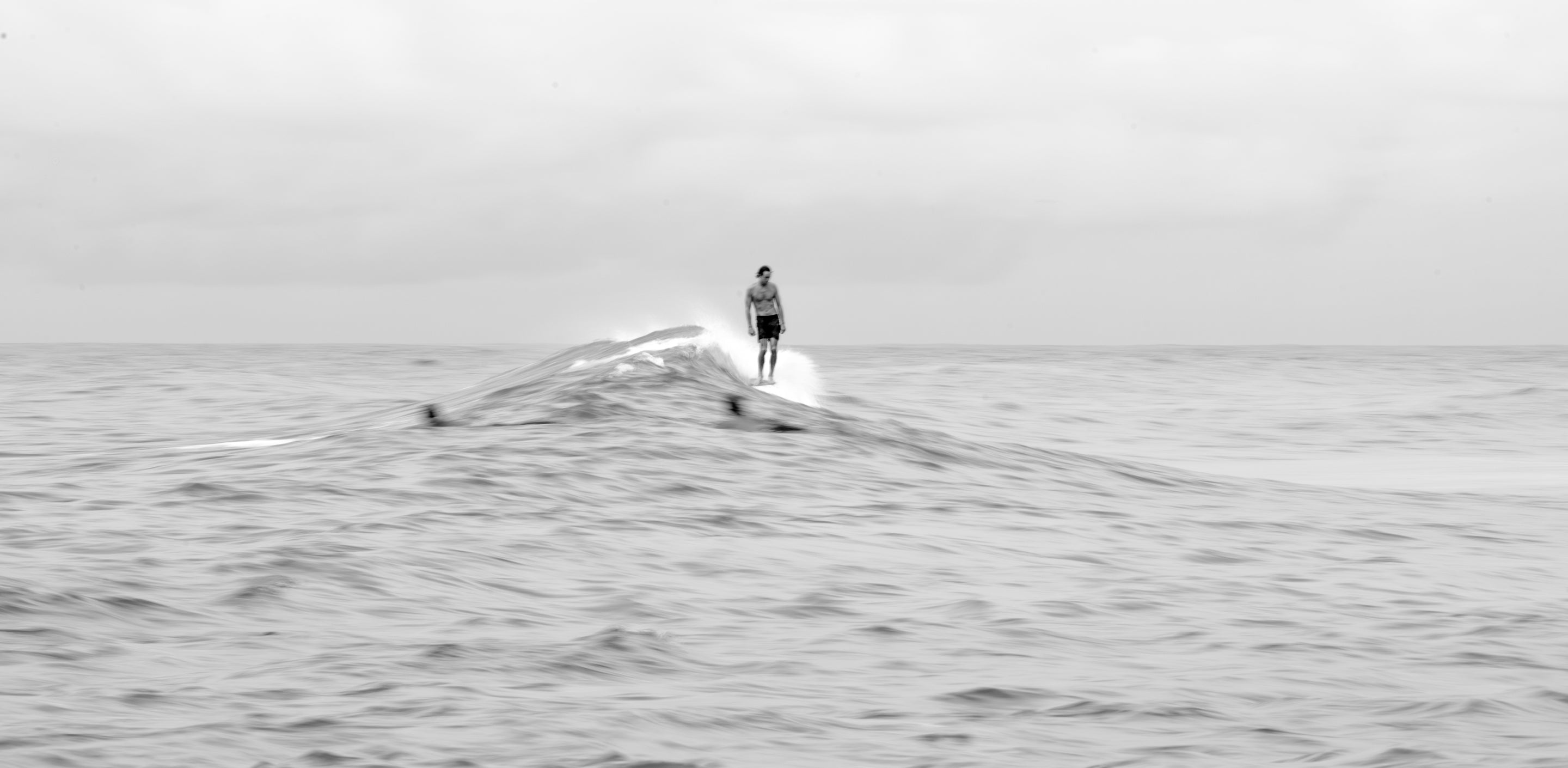 Harrison Roach is World Champ!